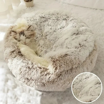 CozyCave