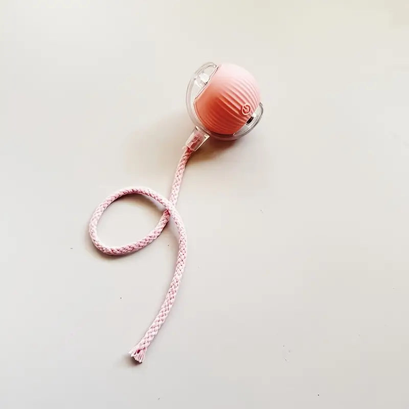ZoomieBall